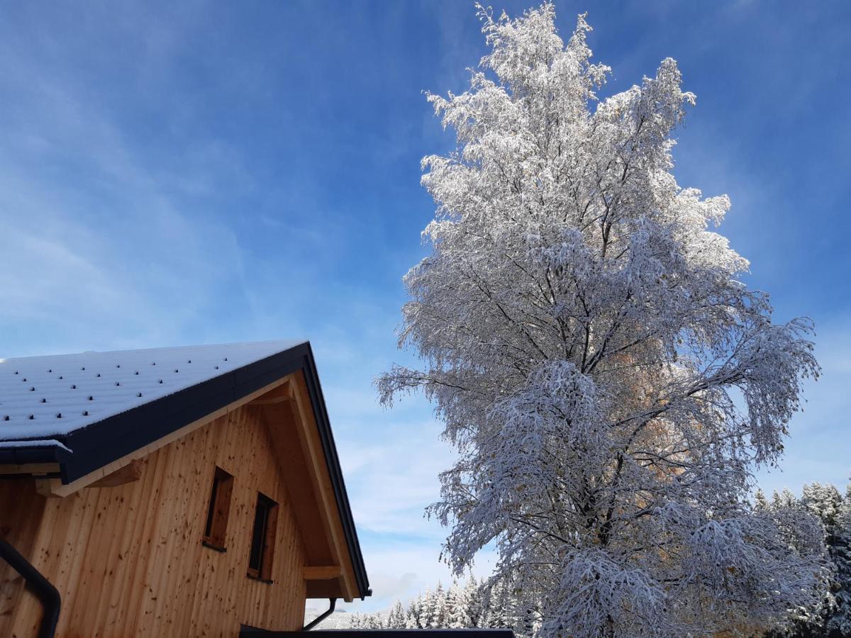 Auszeit Almhaus Schmalzbauer Apartment Sankt Andra  Bagian luar foto
